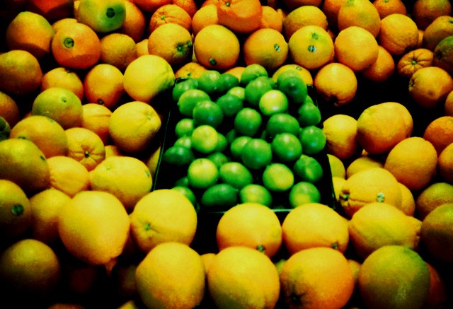 a picture called 20030828citrus  Small  should be here...